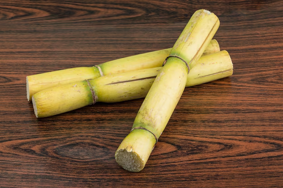 1 - 2025-10-28T135511.703