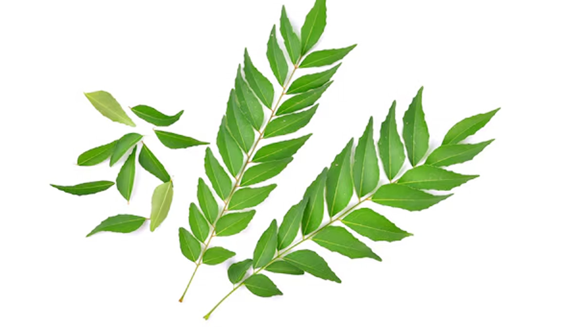 1 - 2025-10-28T182503.929