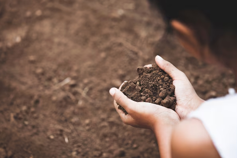 2 - 2025-10-28T135648.717