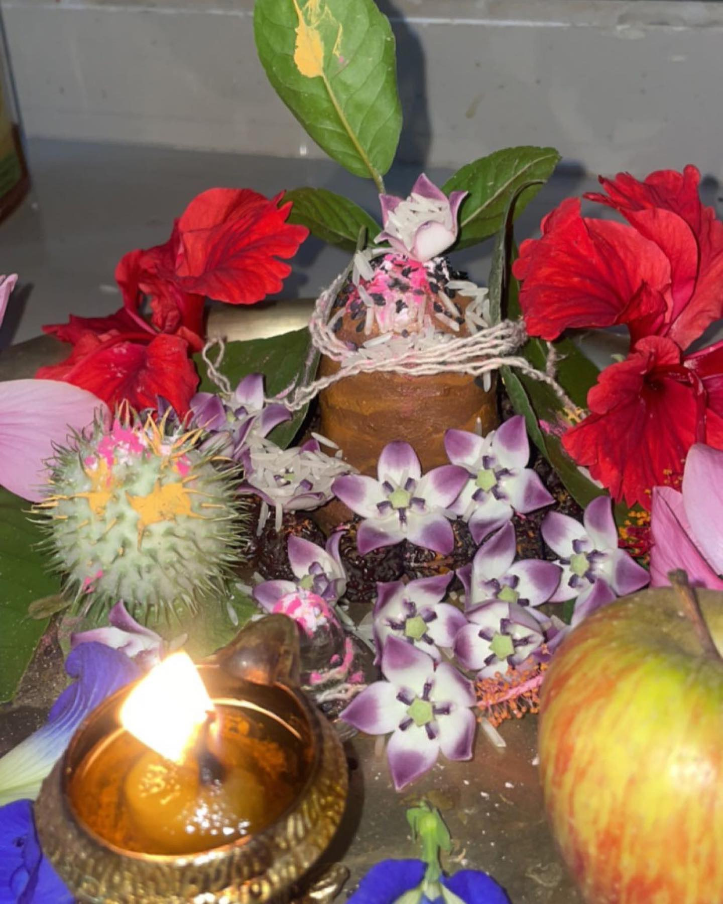 november first som pradosh vrat 2025 offer these things to shivling