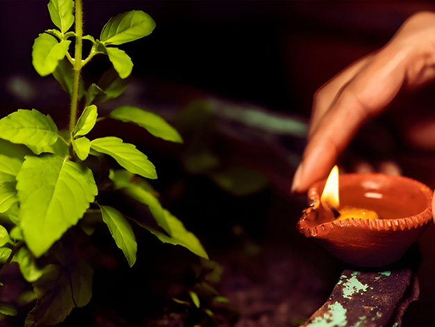 tulsi vivah remedy
