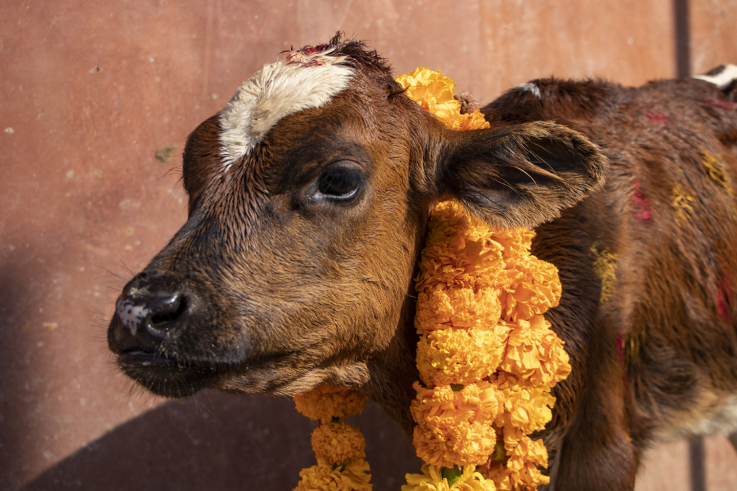 31 october 2025 ashubh muhurat