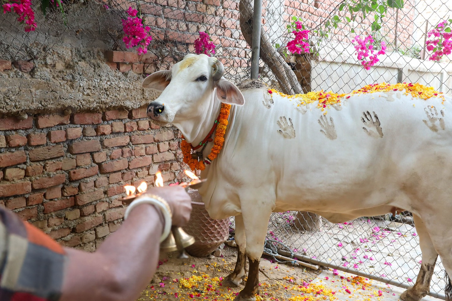 31 october 2025 shubh muhurat