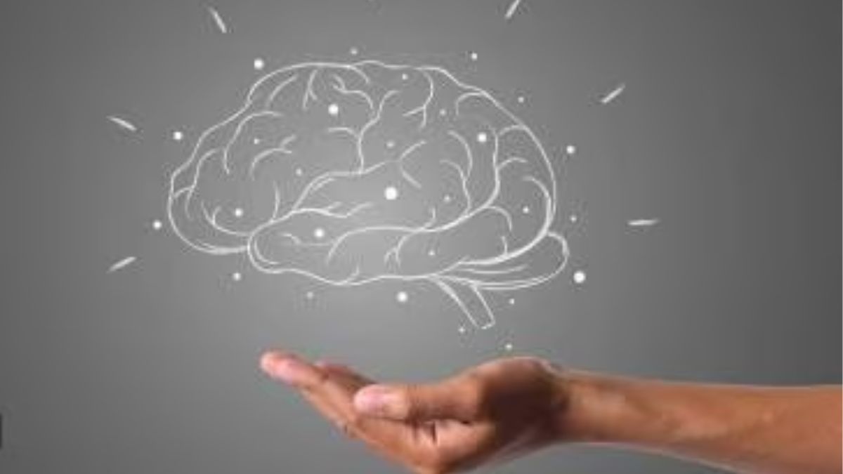 exercise after studying can boost memory (1)