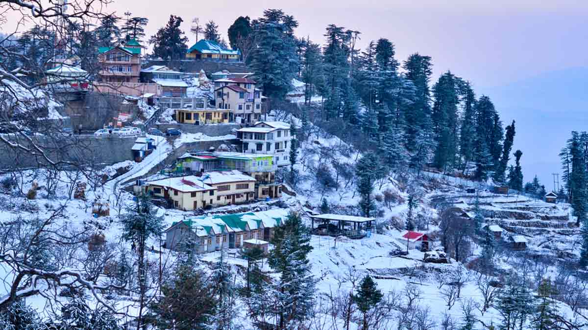 shimla
