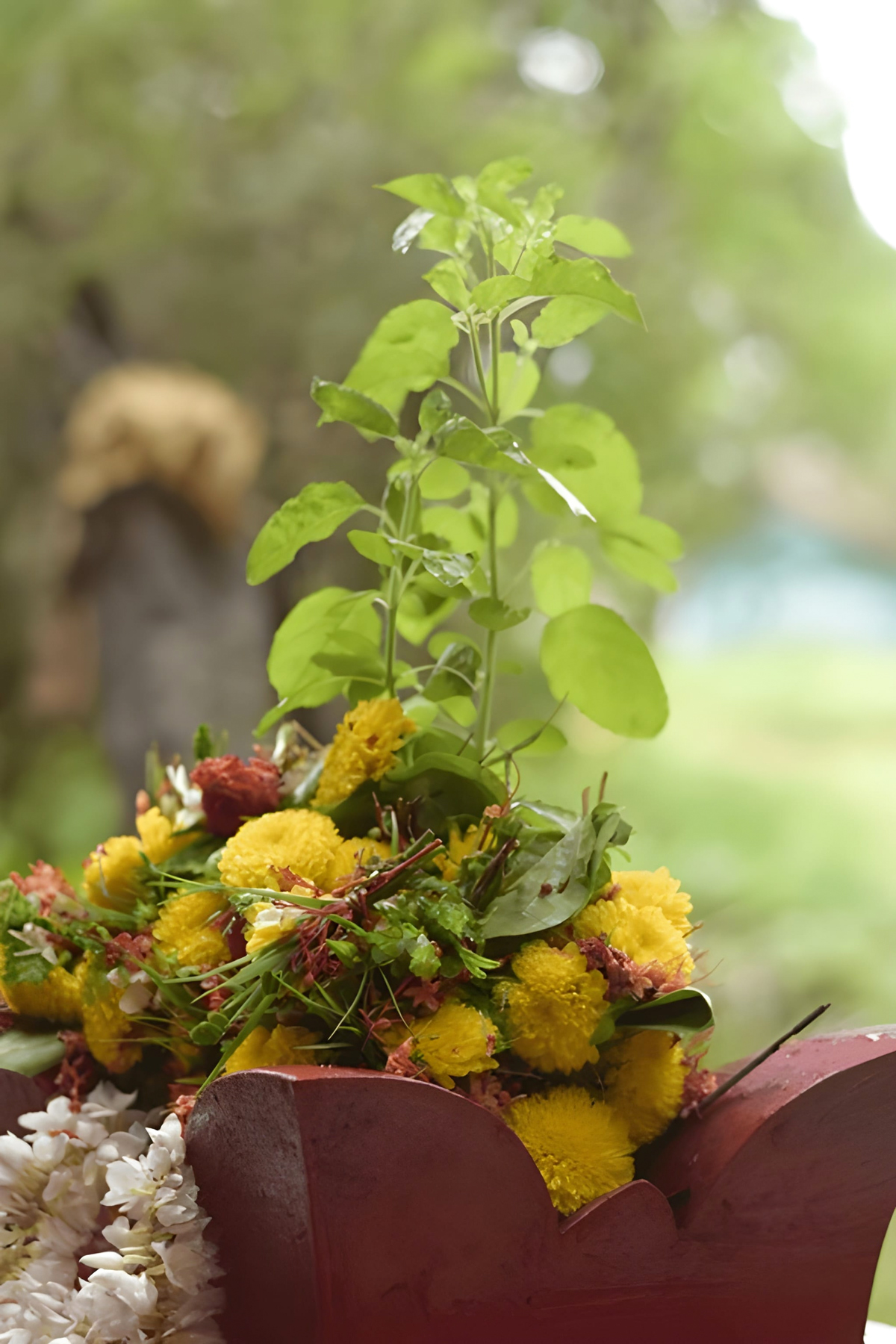 tulsi upay for dev uthani ekadashi