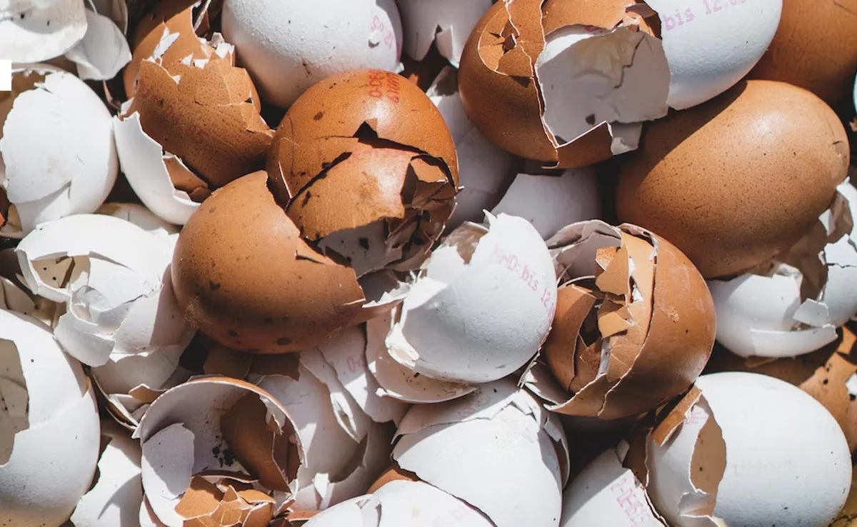 Easy hacks to sharp mixcer grinder blade