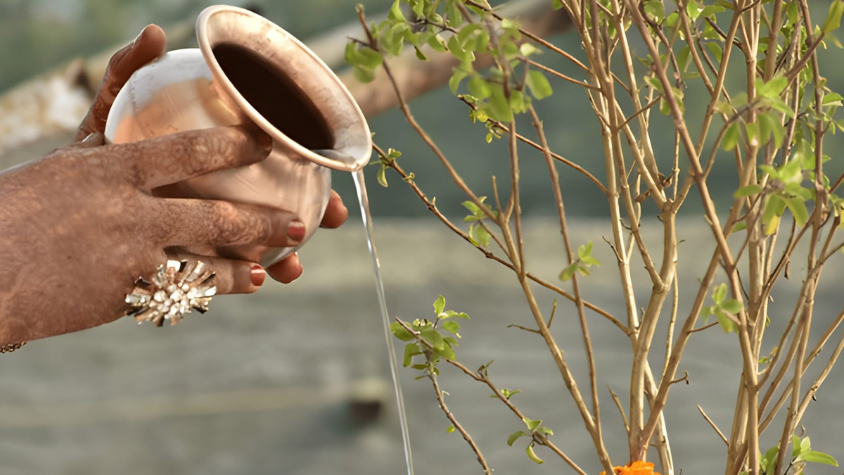 देवउठनी एकादशी के दिन भूलकर भी न करें तुलसी के पौधे से जुड़ी ये 2 गलतियां, हो सकते हैं नकारात्मक परिणाम
