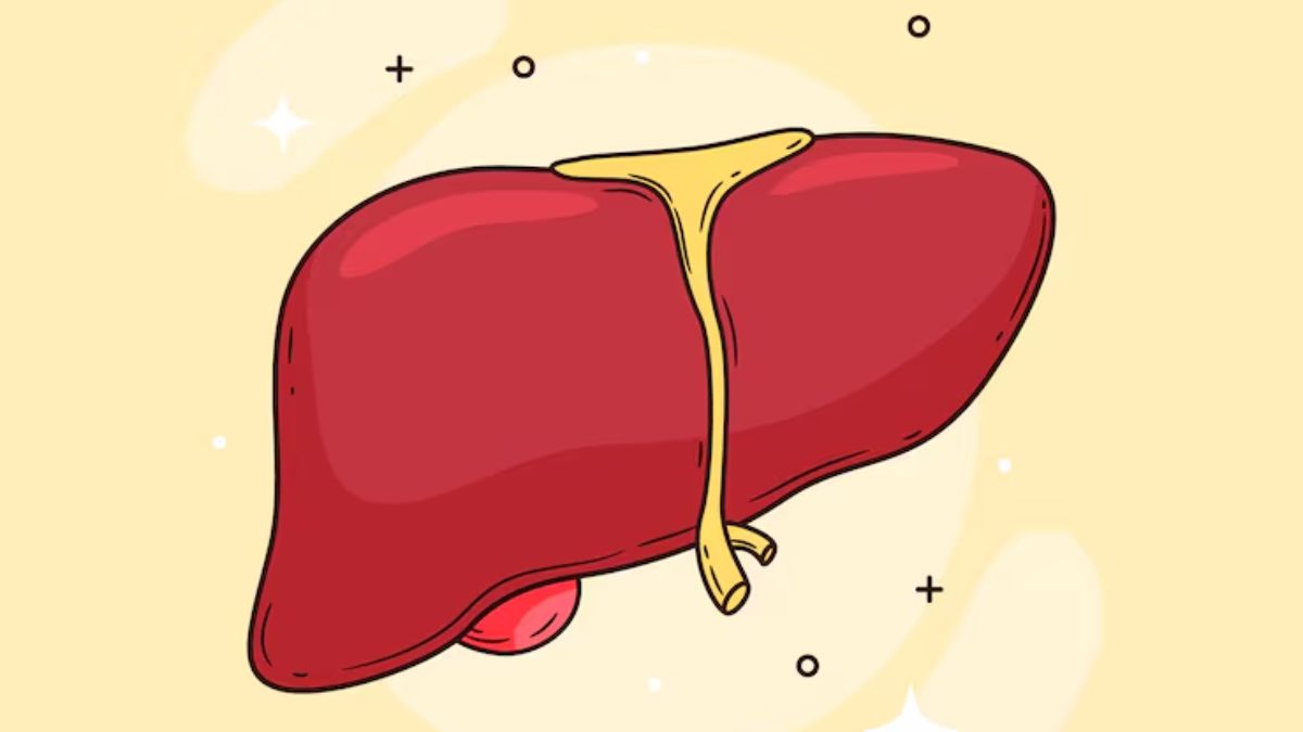 liver disease treatment from henna (2)