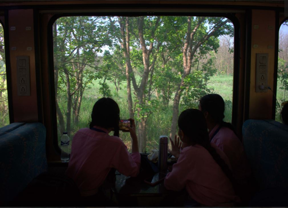 up vistadome jungle safari train ticket price booking online route and location1