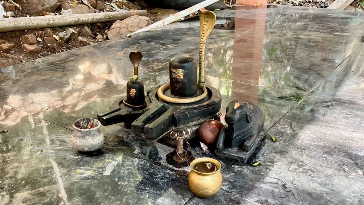 sivarpanam temple in canada story