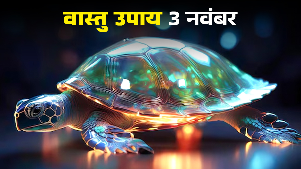 Vastu Upay 3 November: घर में रख रही हैं मेटल या क्रिस्टल का कछुआ? ध्यान रखें ये बातें, वास्तु दोष में होगा सुधार
