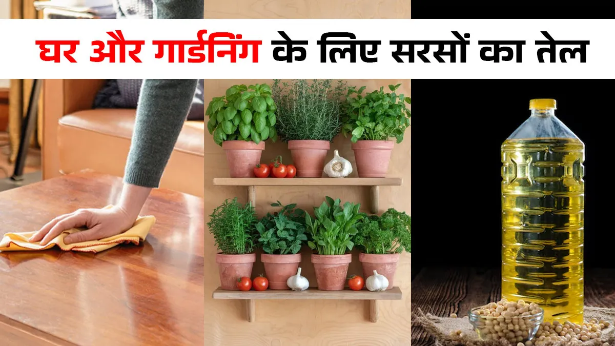 uses of sarso ka tel in hindi