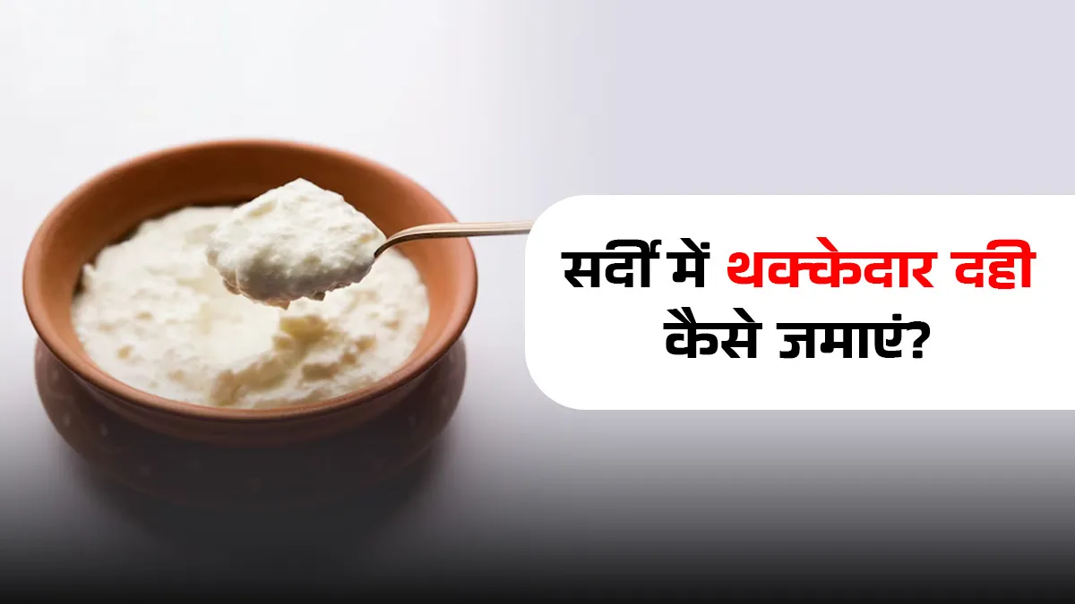 Casserole for yogurt setting