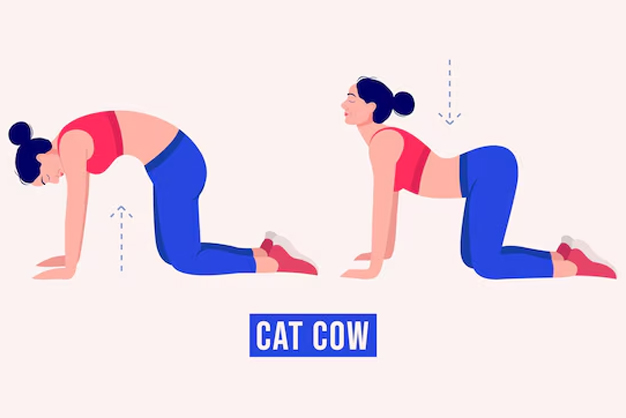 Standing Cat & Cow Pose