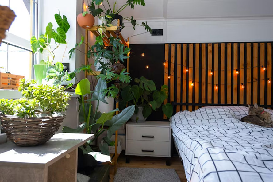 plants in bedroom