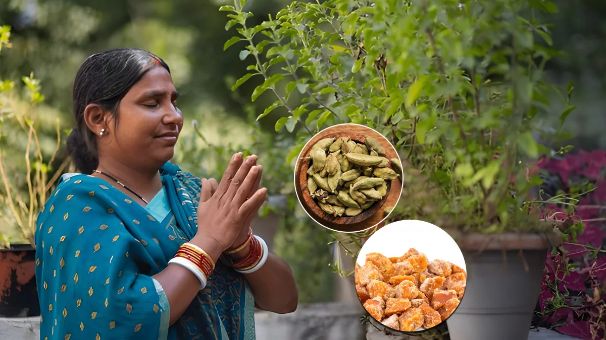 Tulsi plant rituals for prosperity