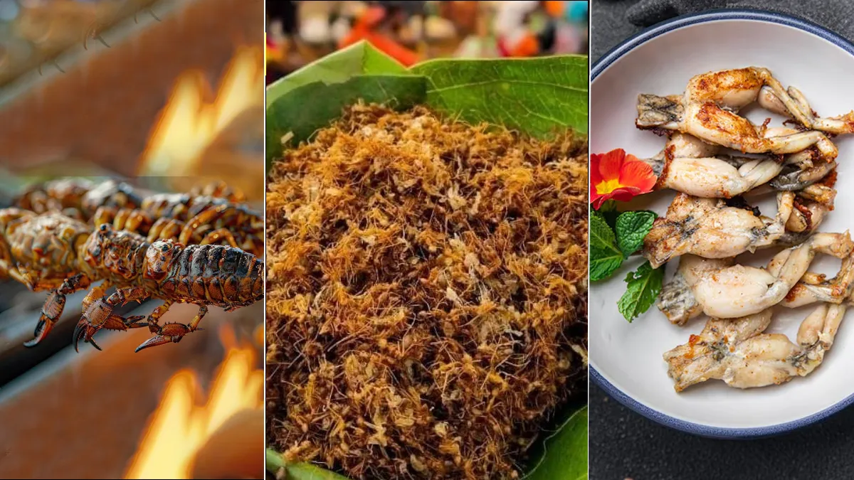 Which insects are eaten in India