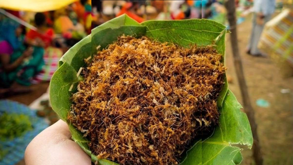 Traditional Indian insect dishes knowledge