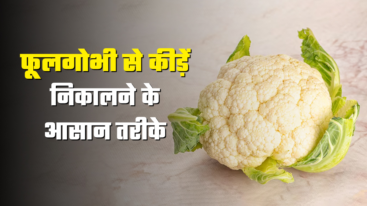 Kitchen Tips: तुरंत बाहर निकल आएंगे फूलगोभी में छिपे कीड़े, उबलते समय पानी में डालें यह चीजें
