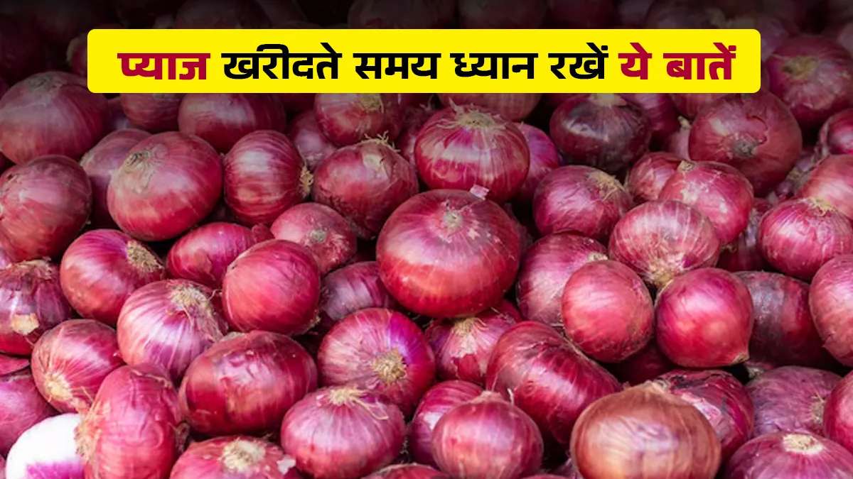 Tips for buying fresh onions
