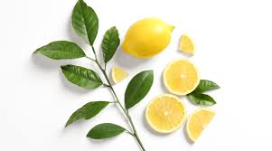 Easy remedies to remove ants from sugar