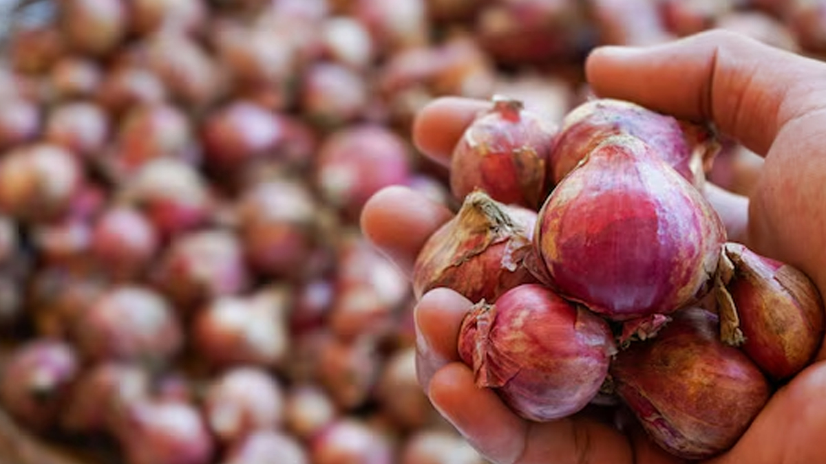 How to select onions