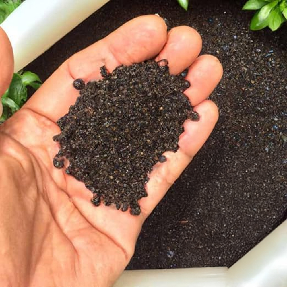 gardening tips for winter