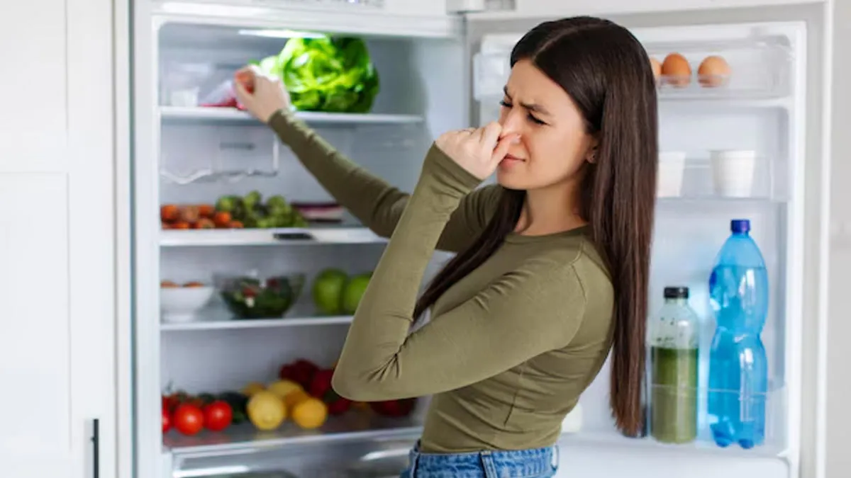 using toothpaste and camphor for fridge