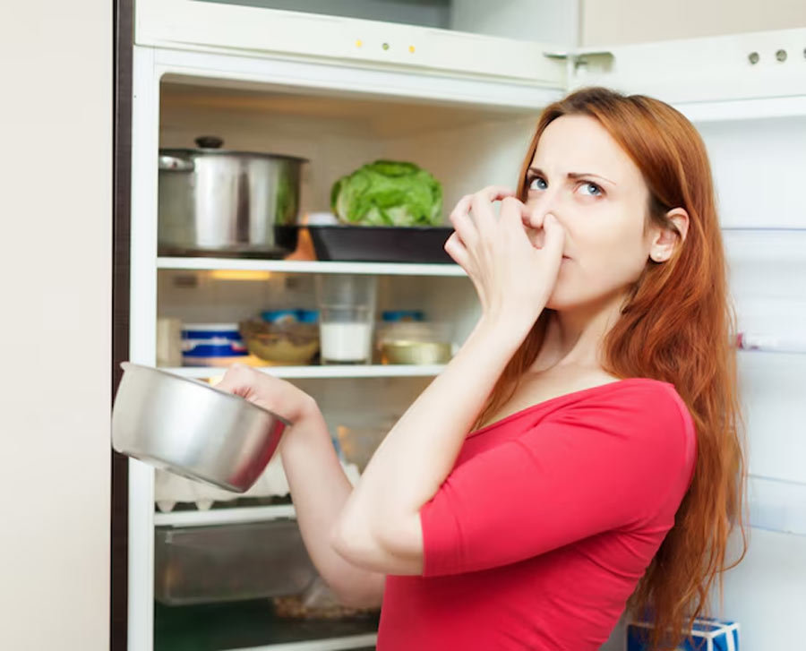 fridge smell remove tricks