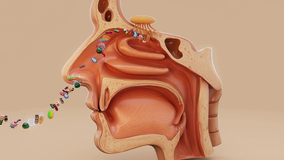 strengthen respiratory resilience