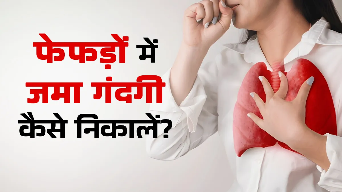 fefdo ko detox kaise kare