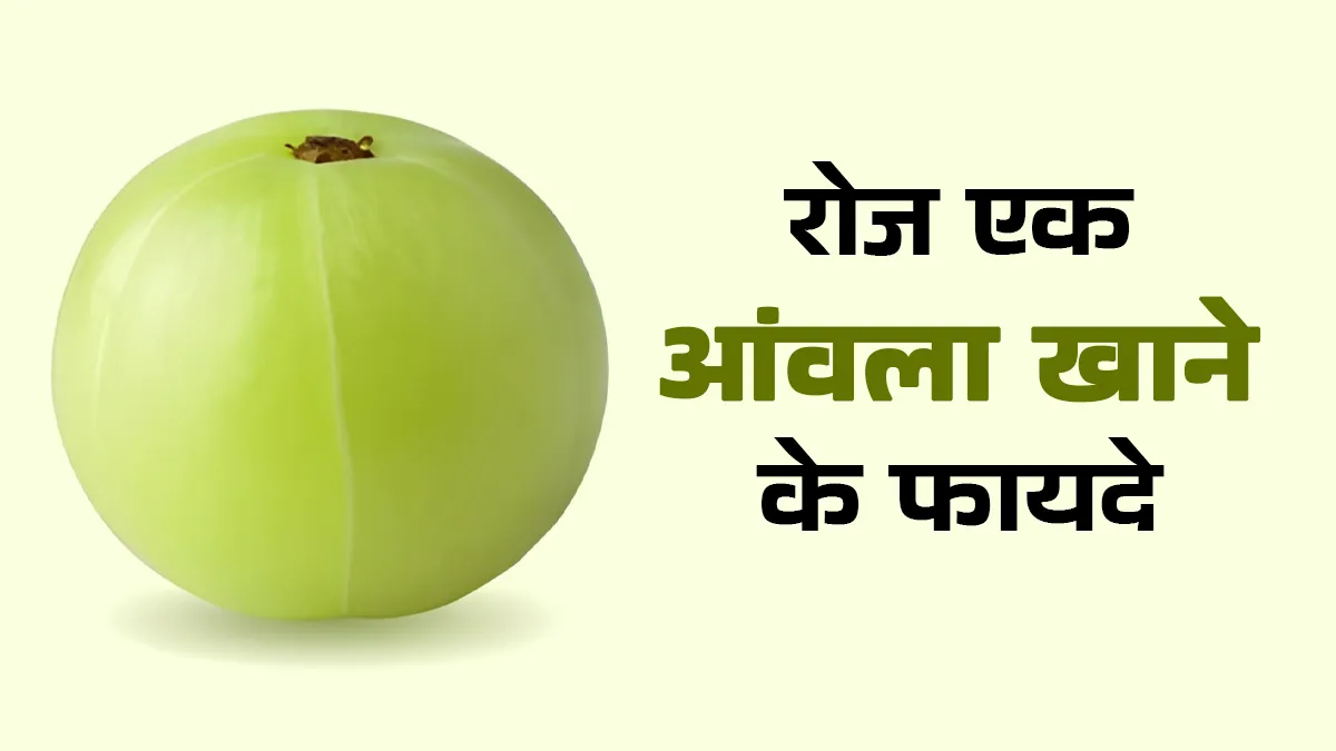 what will happen if I eat 1 amla daily
