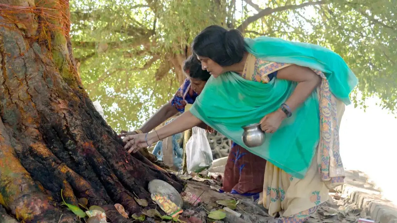 offering water in banyan tree significance