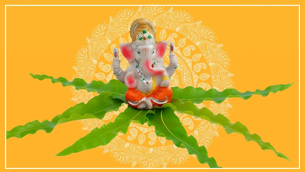 ashok ke patte ke upay