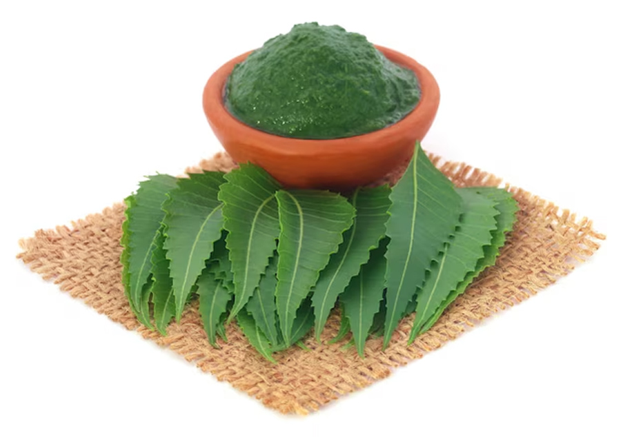 2 - 2025-11-11T173816.327