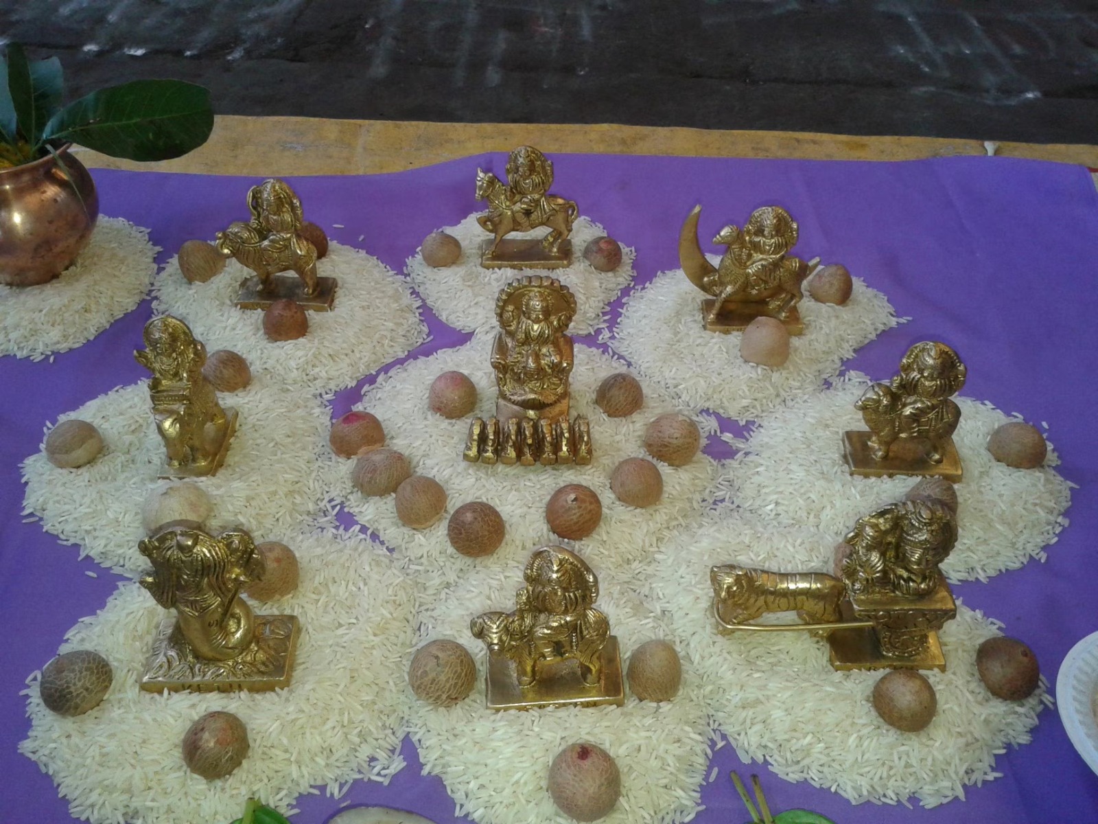 kis gah ko kaun sa phool arpit kare