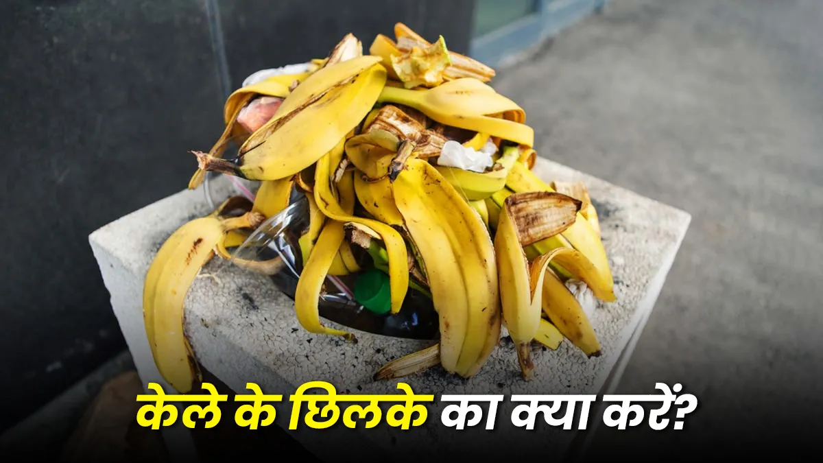 how to use banana peel for home cleaning kele ke chilke ka kya karen