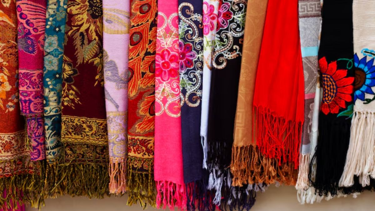 पश्मीना से कुल्लू वूल तक, ये हैं भारत के 5 सबसे गर्म शॉल; जो आपको देंगे स्टाइलि‍श लुक और बेमिसाल गर्माहट