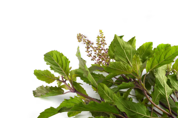 2 - 2025-11-12T144253.829