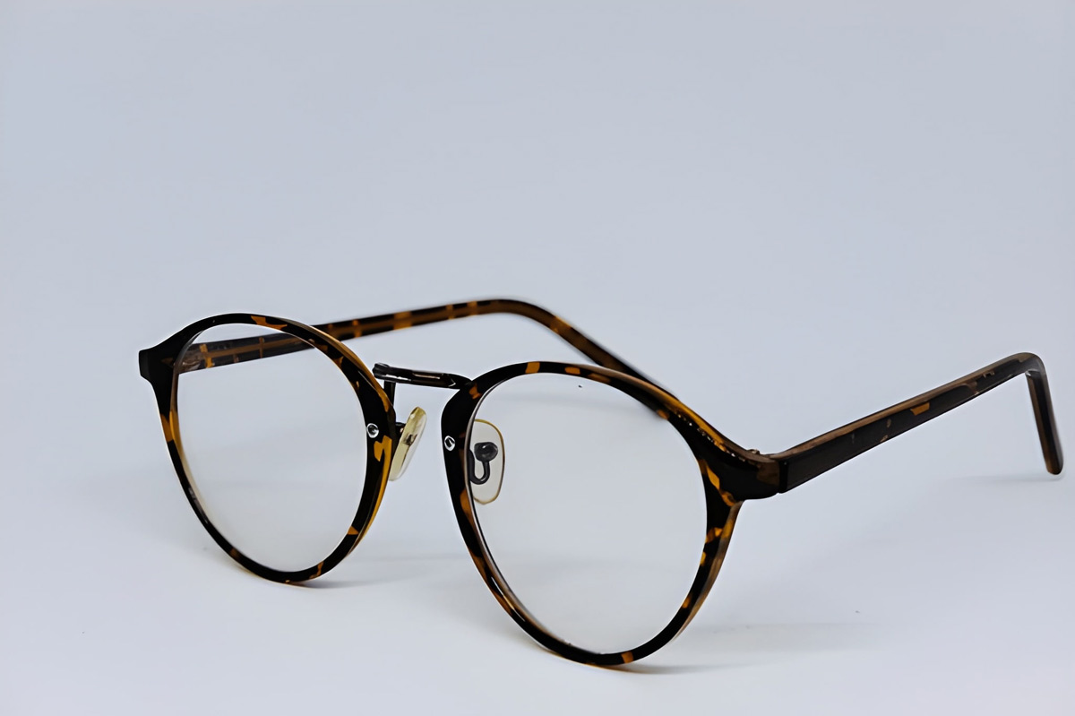 Persimmon fruit for weight loss