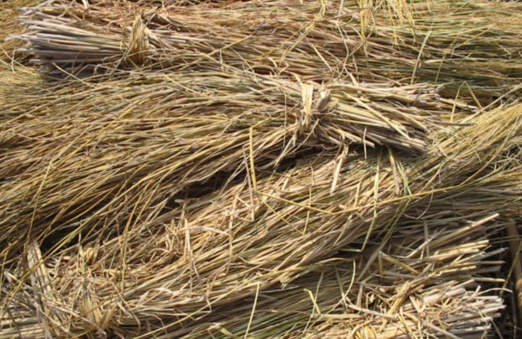 home insulation tips winter