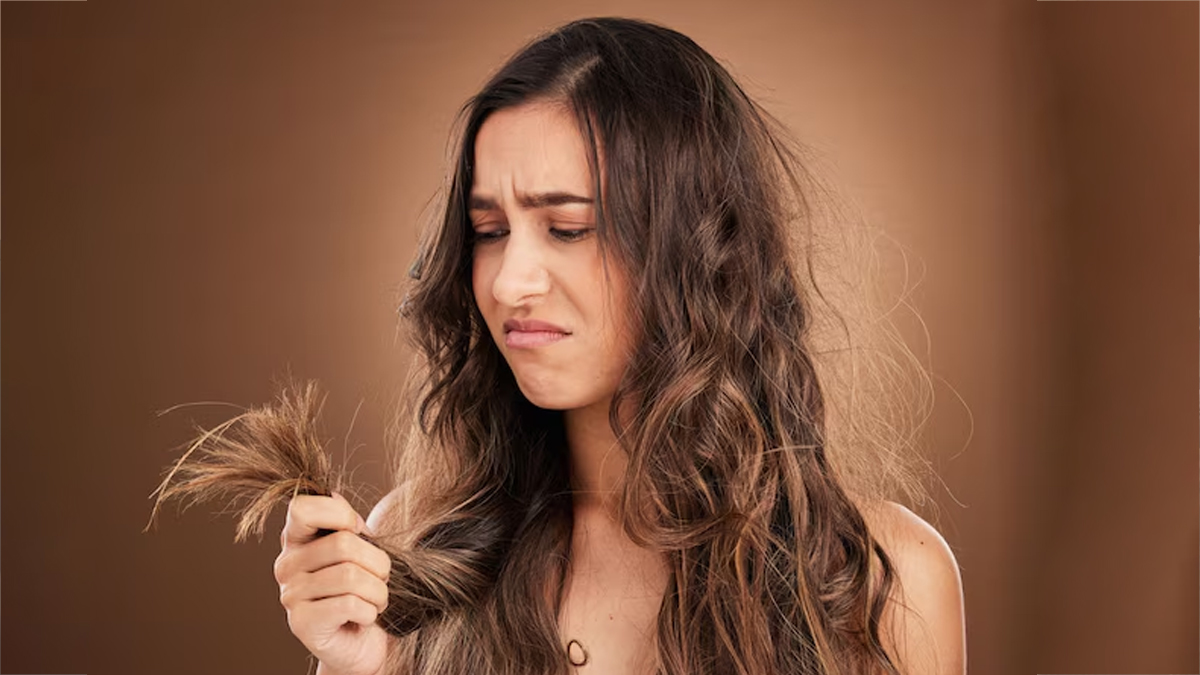Split Ends Hair Remedies: दोमुंहे बालों से रुक गई है बालों की ग्रोथ, अपनाएं ये 3 असरदार घरेलू उपाय