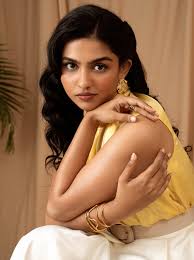 dude movie ott release date announce know when and where to watch pradeep ranganathan and mamitha baiju starrer tamil movieS