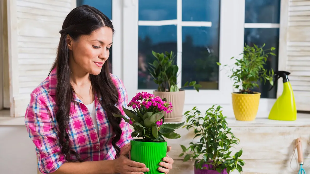 mulching for winter plant protection