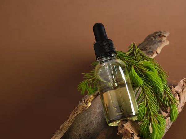 2 - 2025-11-14T201135.700