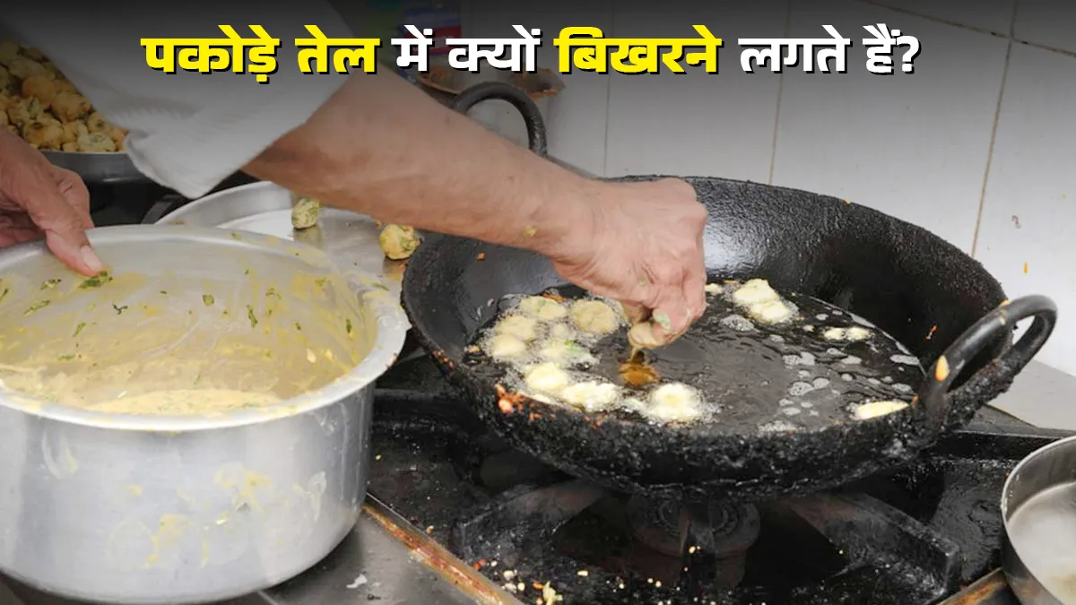 why lauki kofta breaks while frying know the reason and right way to make it
