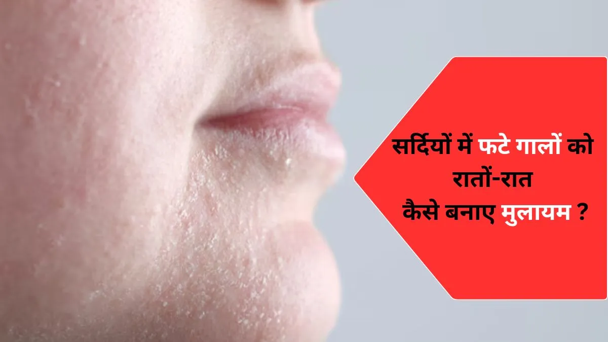 Face Night Cream for Dry Skin