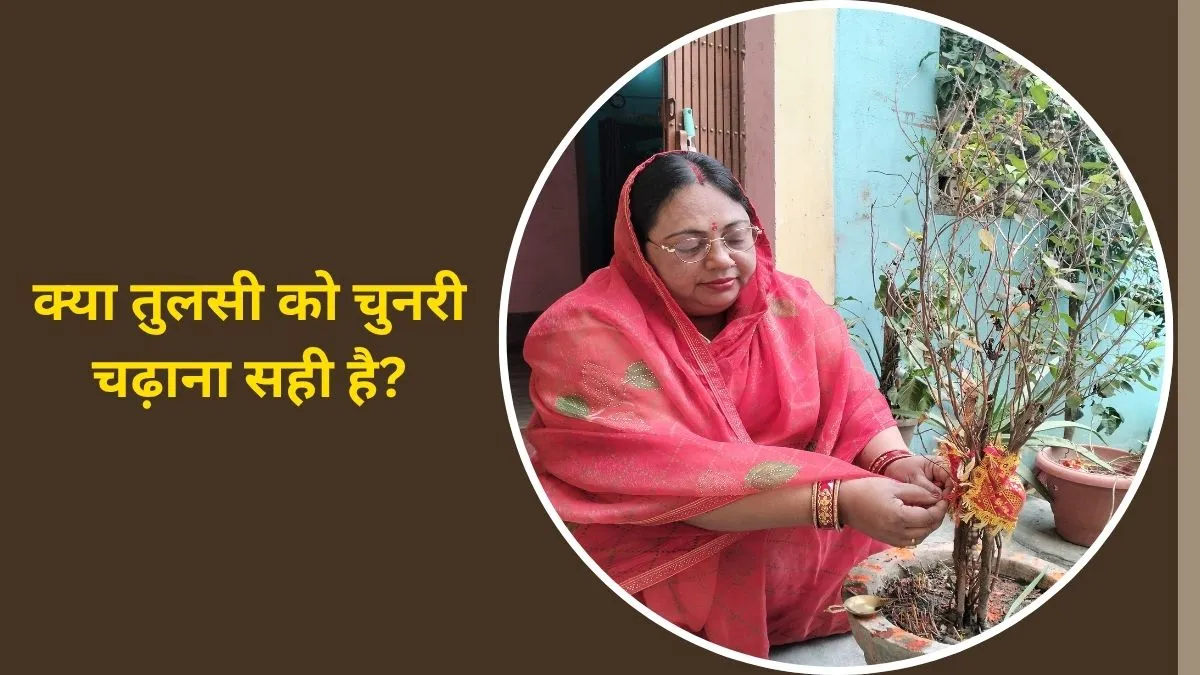 should we offer chunari to tulsi or not