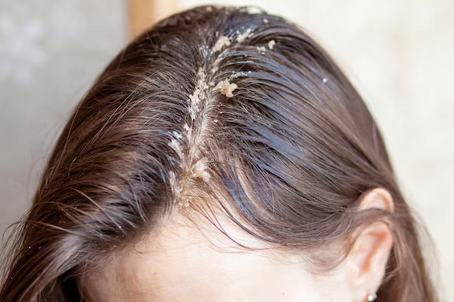 1 - 2025-11-17T163017.419